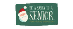 Santa for a Senior